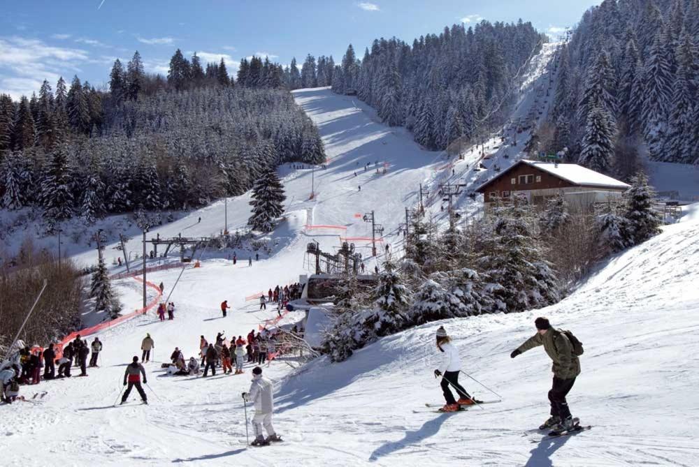 Chalet Les Camelias Spa Gerardmer Exterior photo